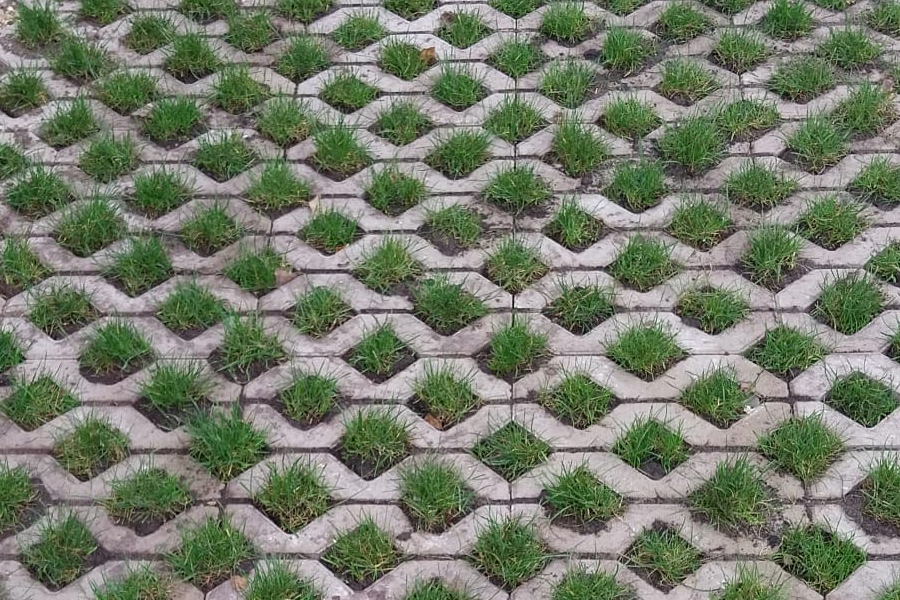 Grasblokjes van Bodenstaff Graszoden